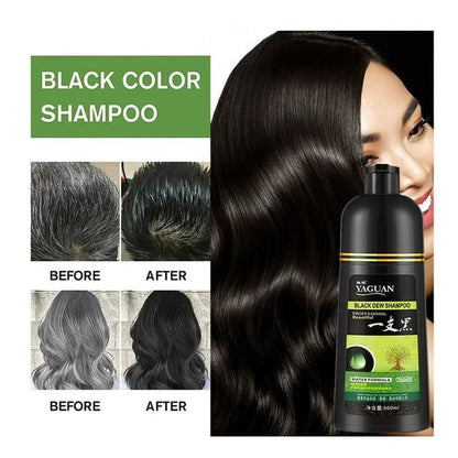 Herbal Hair Dye Shampoo – Natural Colour, Healthy Shine
