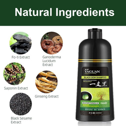 Herbal Hair Dye Shampoo – Natural Colour, Healthy Shine
