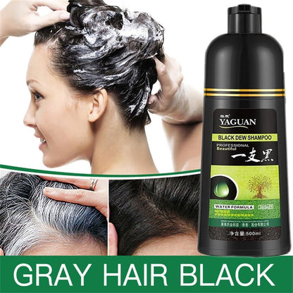 Herbal Hair Dye Shampoo – Natural Colour, Healthy Shine